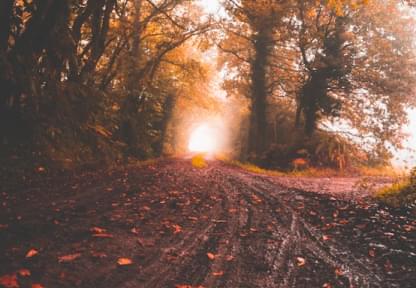 Валентин Бавін