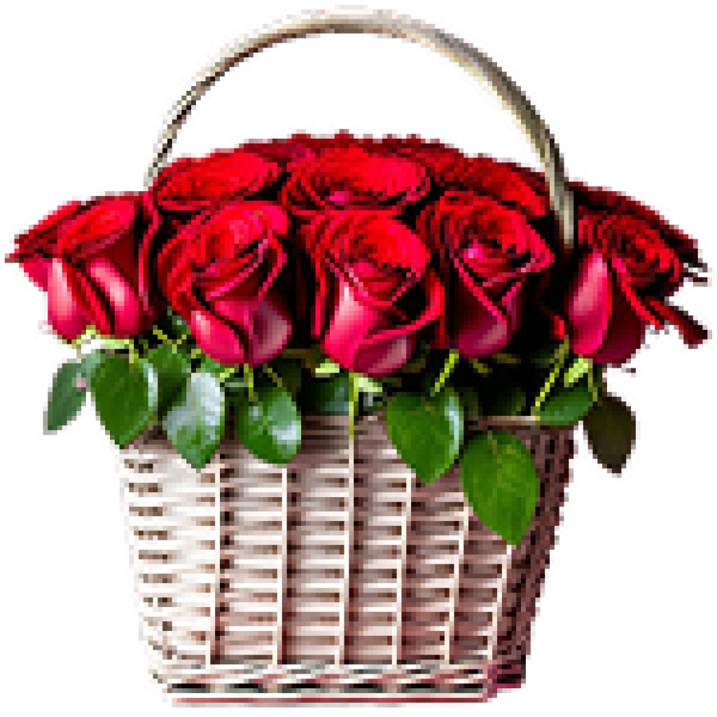 Basket of Red Roses