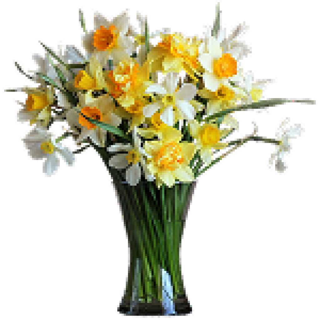 Chrysanths
